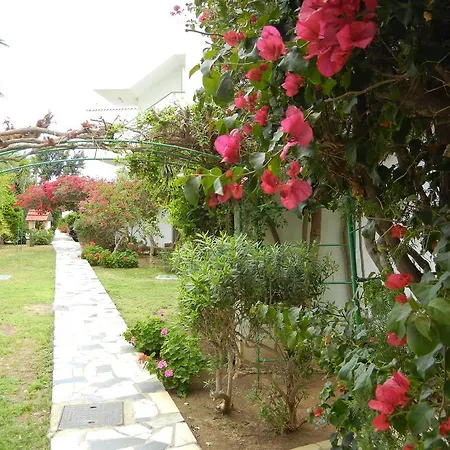Tsialis Larnaca