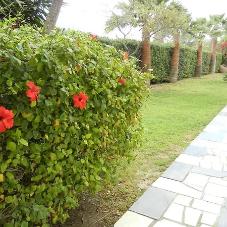 Tsialis 2* Larnaca